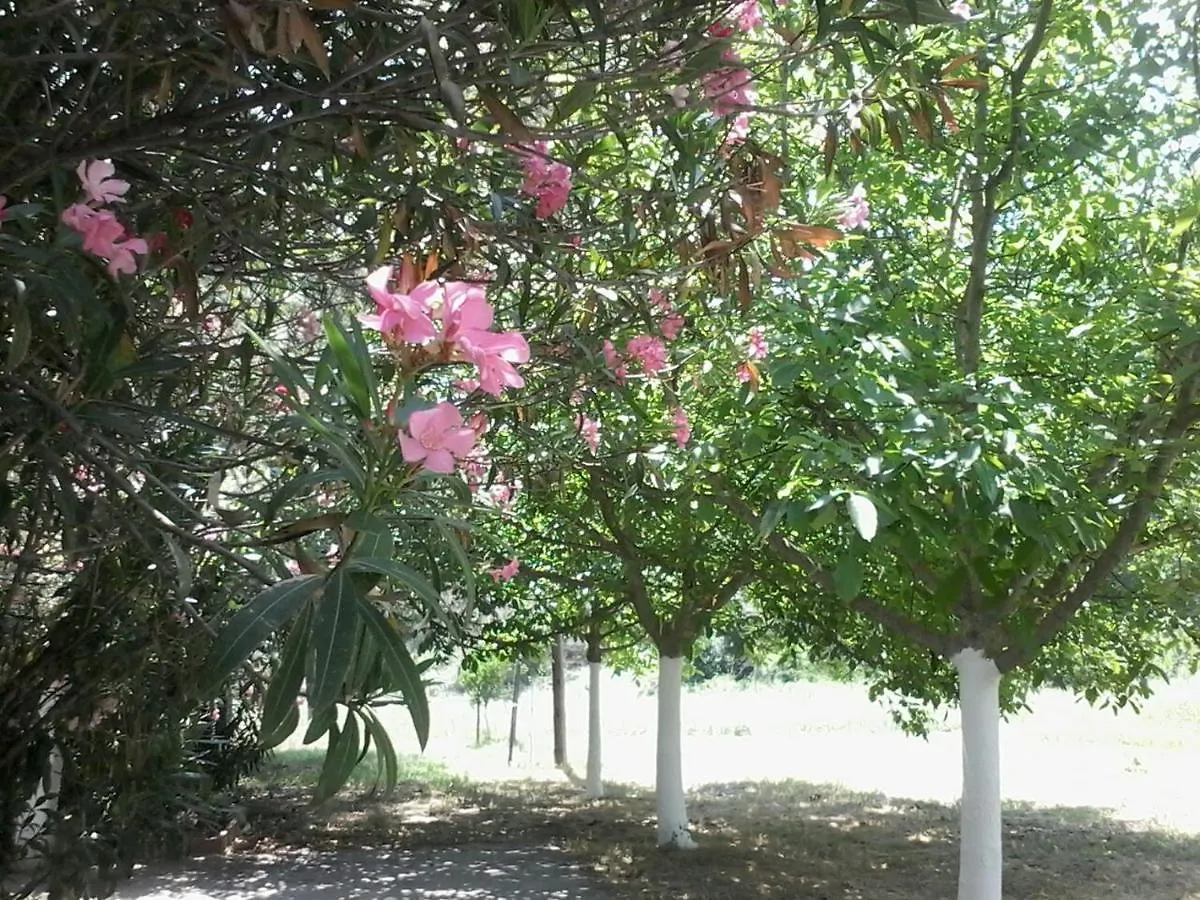 סטאברוס Garden Bungalow Valentina