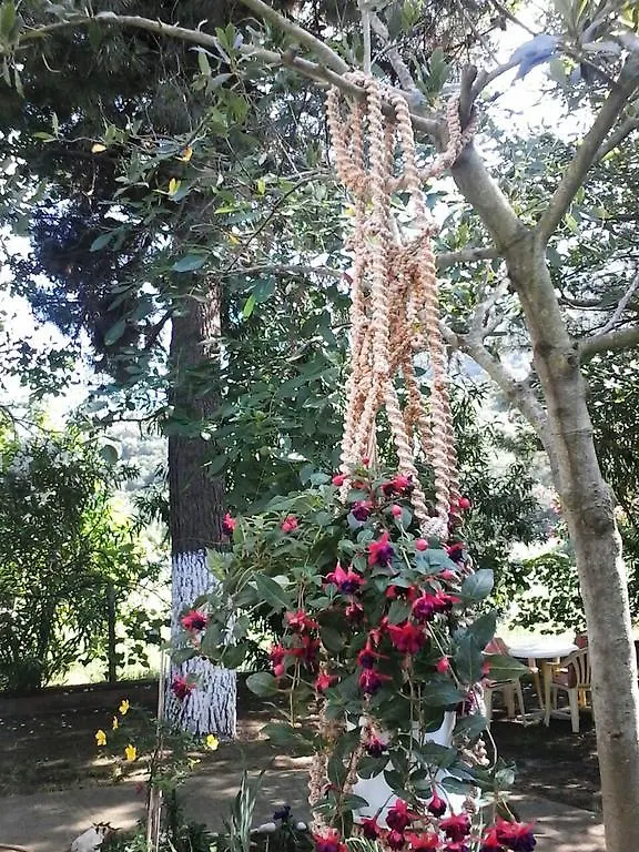 סטאברוס Garden Bungalow Valentina בית נופש