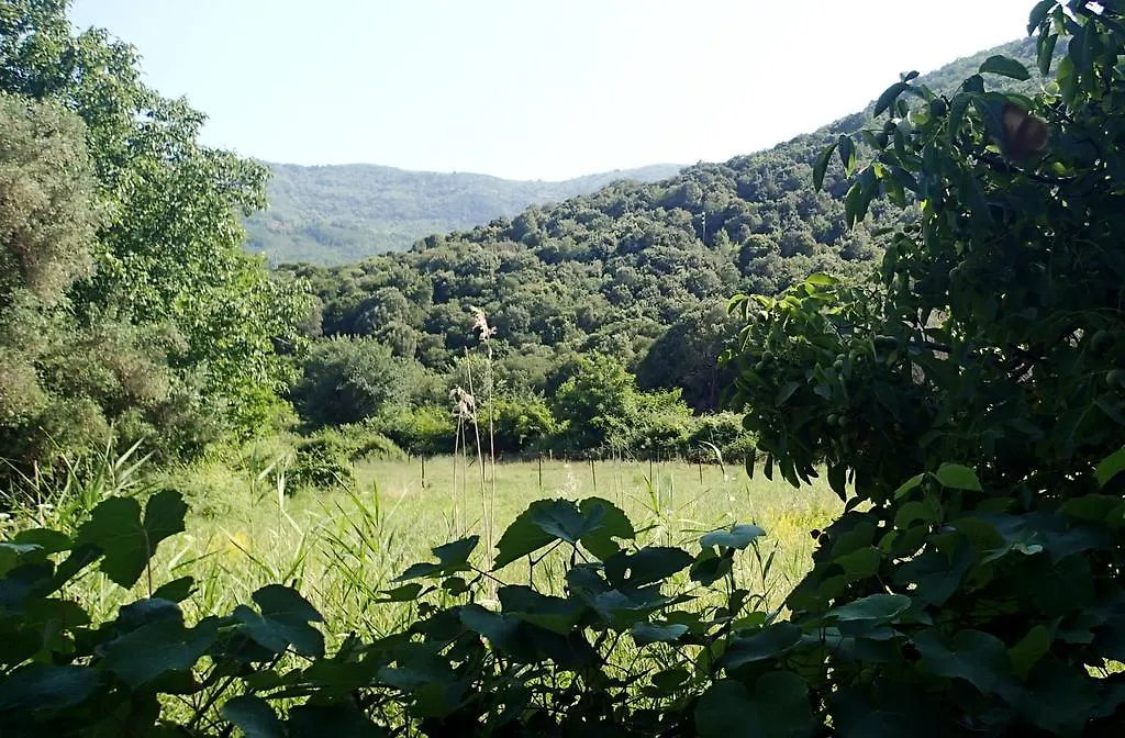 סטאברוס Garden Bungalow Valentina 0*,